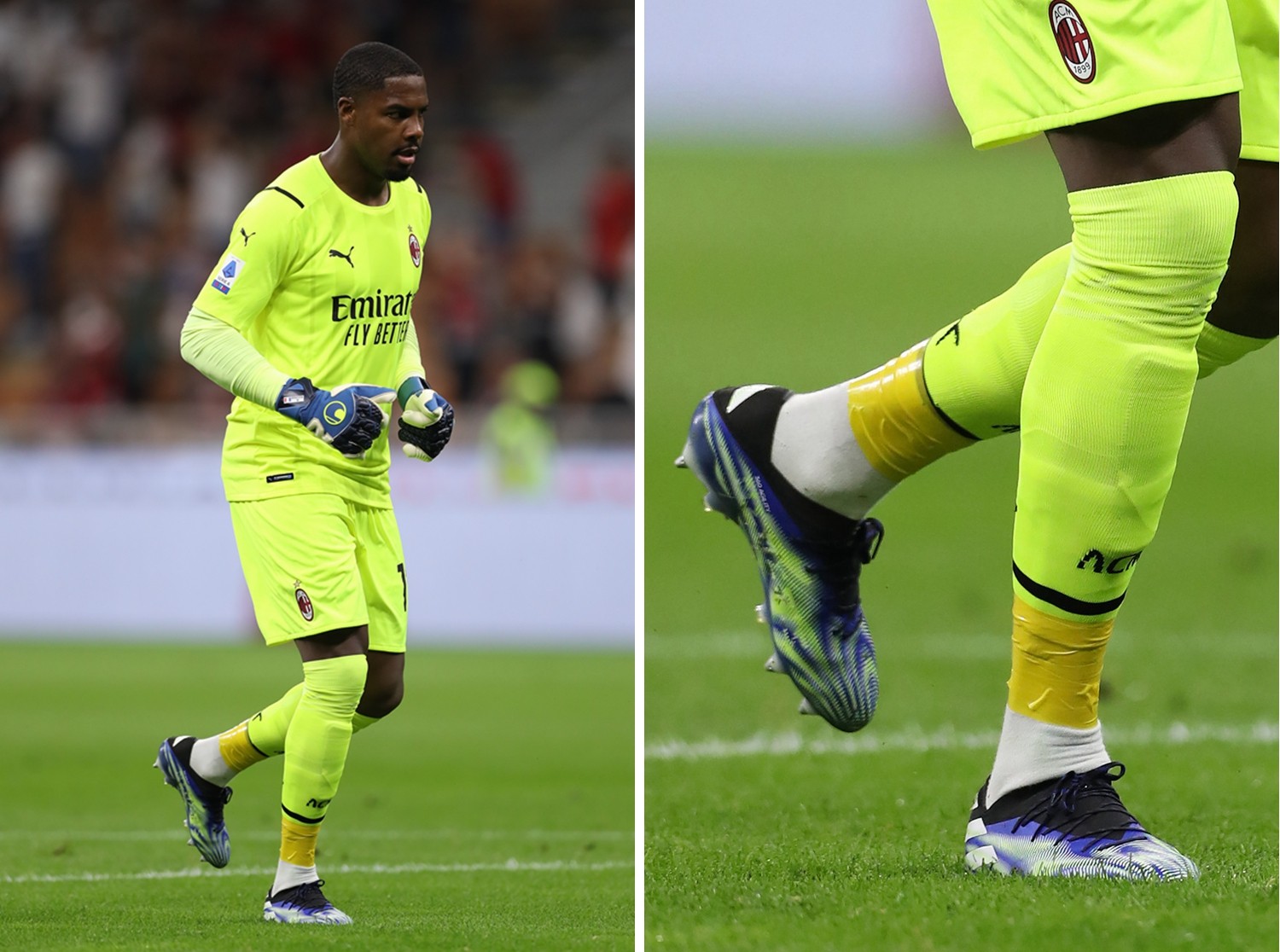 新的生命力 新的生命力